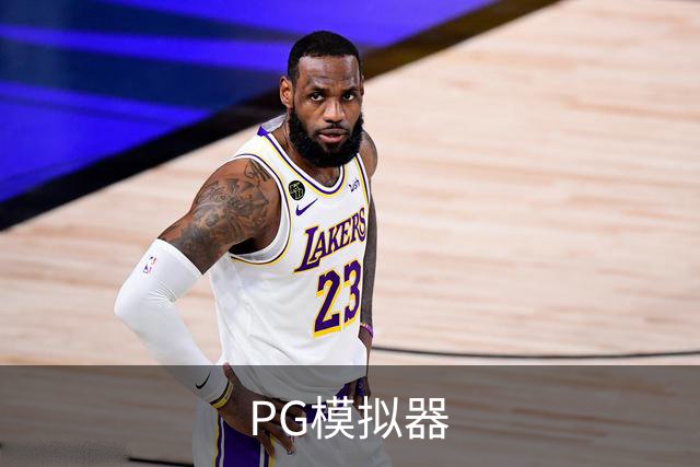 PG模拟器公司简介图片